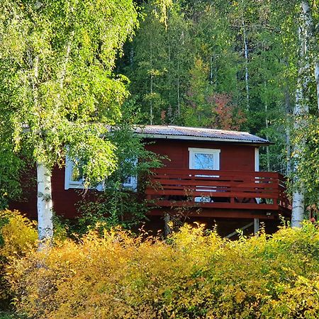 Vikinggard Cottages Holjes Exteriör bild