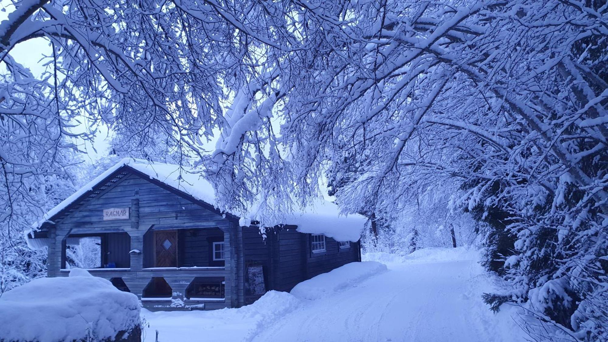 Vikinggard Cottages Holjes Exteriör bild