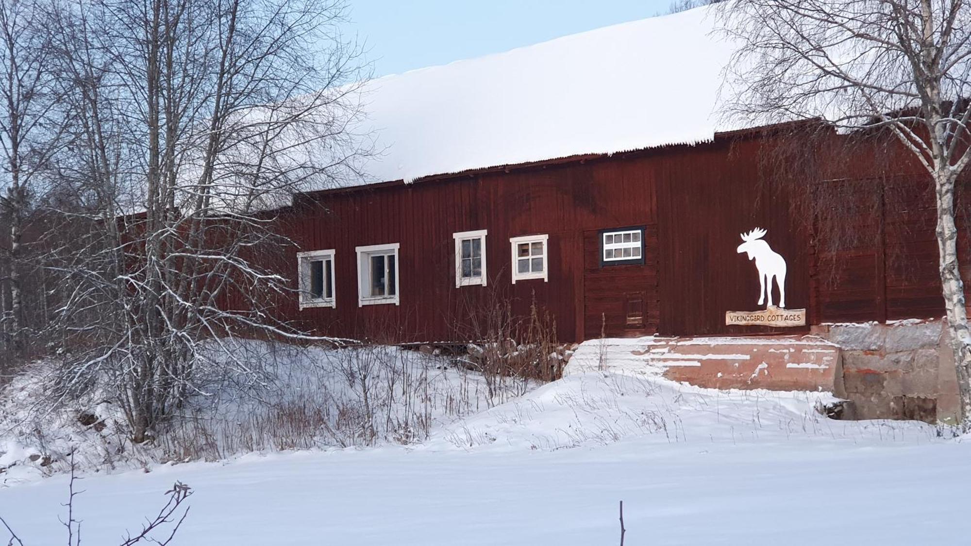 Vikinggard Cottages Holjes Exteriör bild